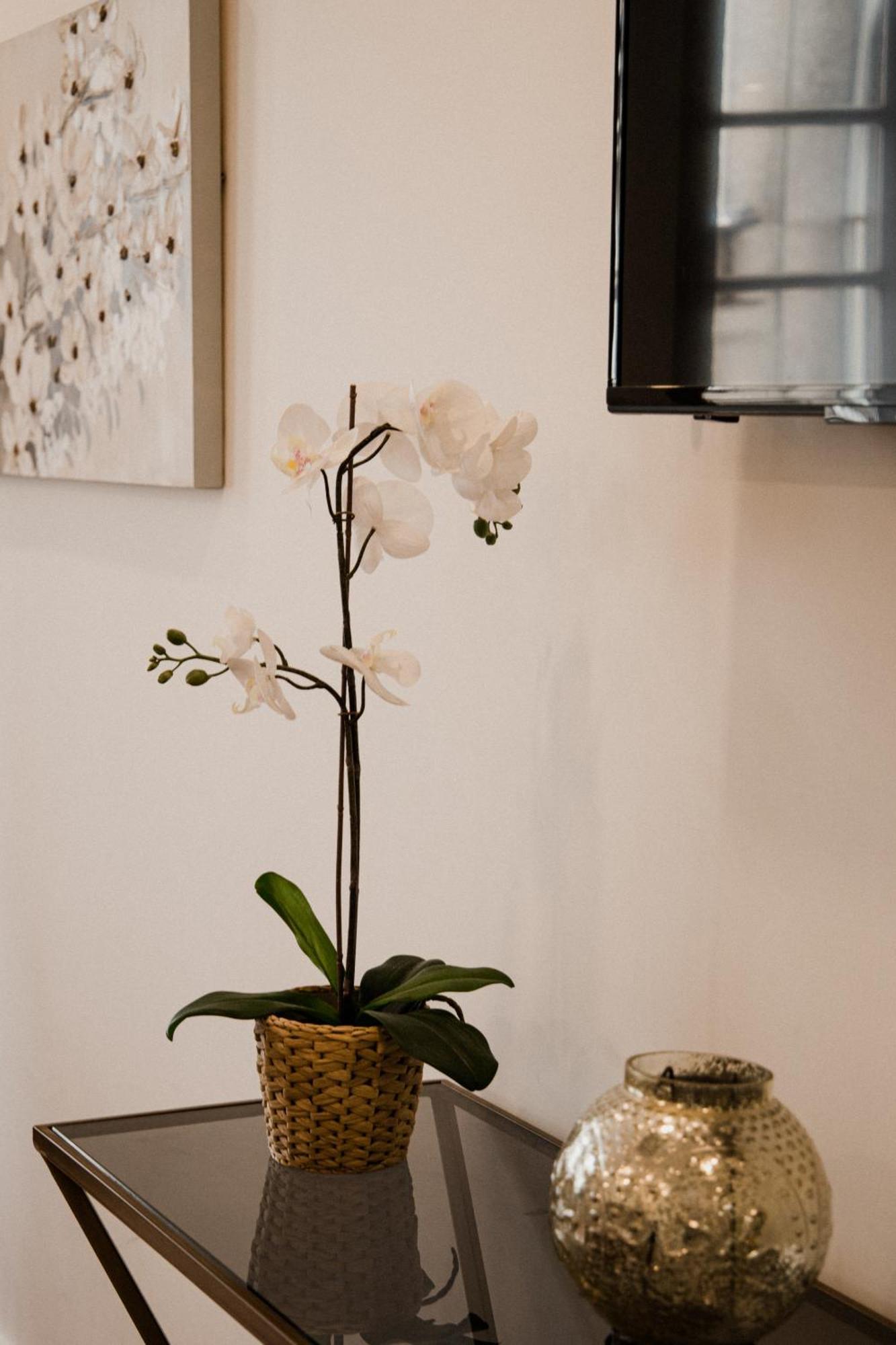 Bruval Premium Apartments - Se Porto Zewnętrze zdjęcie